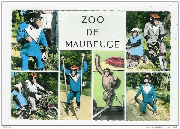 Le Zoo de Maubeuge
