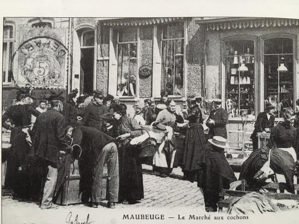 Le  marché aux cochons