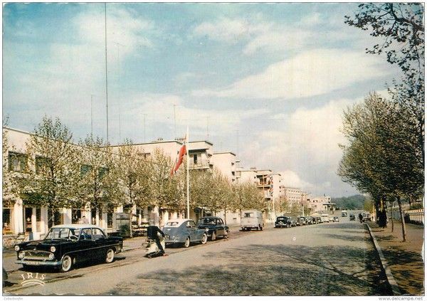 Magasin de graines Truffaut